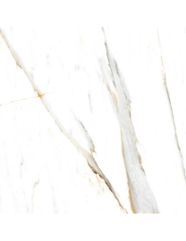 Pudico Square Pulido 74 X 74